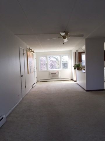 1003 S Euclid Ave #3W - Photo 2 of 9