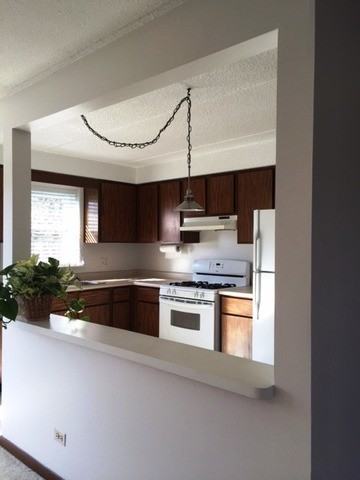 1003 S Euclid Ave #3W - Photo 3 of 9