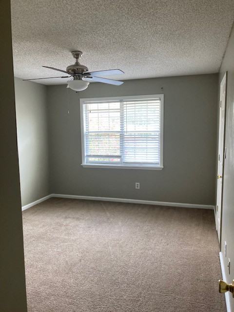 509 University Dr #D - Photo 6 of 9