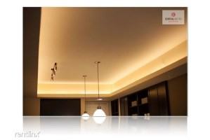 505 Barton Springs Rd - Photo 3 of 13