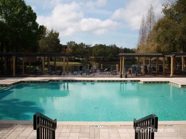 Sabal Palm at Carrollwood Place - Photo 2 of 50