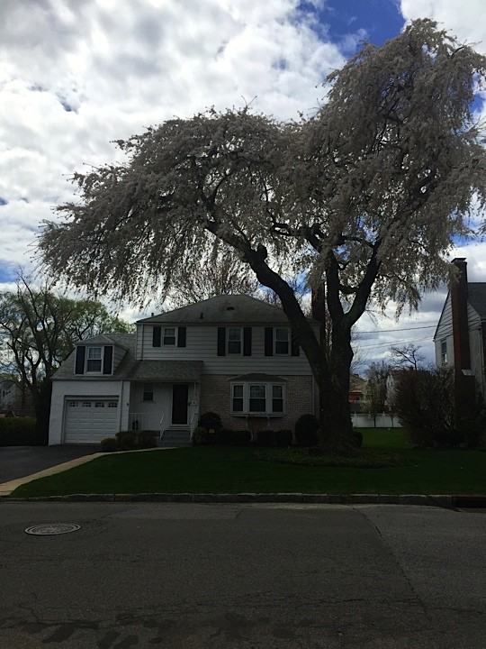 38 Tuckahoe Ave - Photo 2 of 20