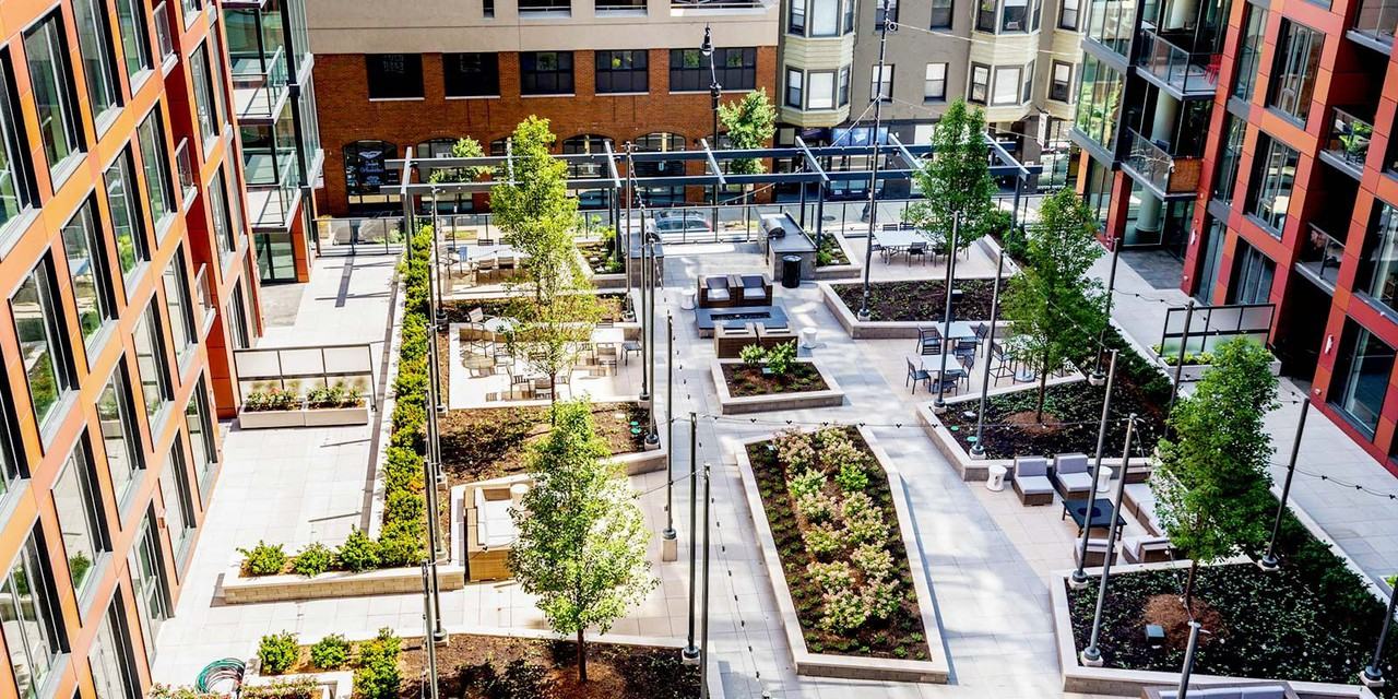 930 W Altgeld St - Photo 7 of 10