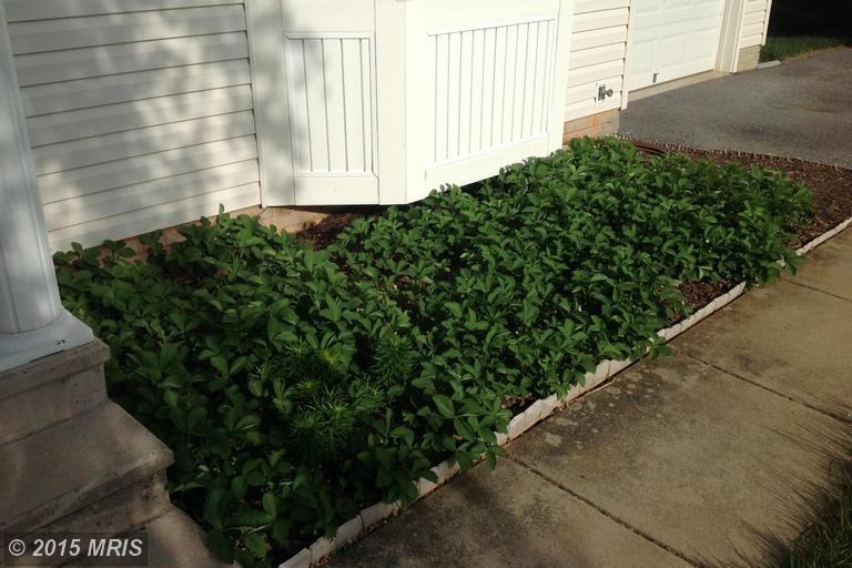 4243 Bushel Basket Dr - Photo 2 of 14