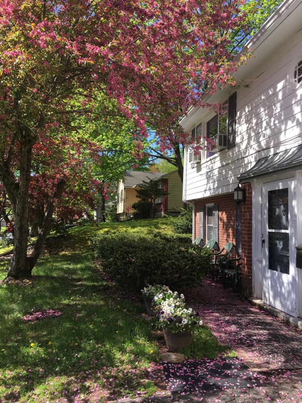 61 Kirkwood Rd - Photo 2 of 14