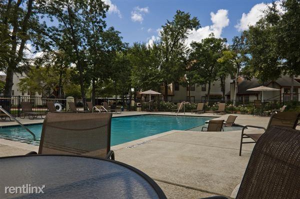 W T C Jester - Photo 2 of 12