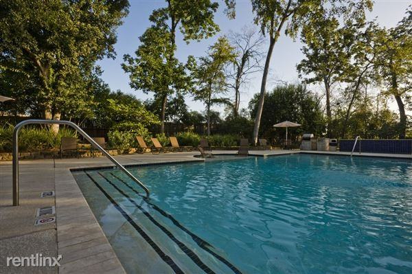 W T C Jester - Photo 3 of 12