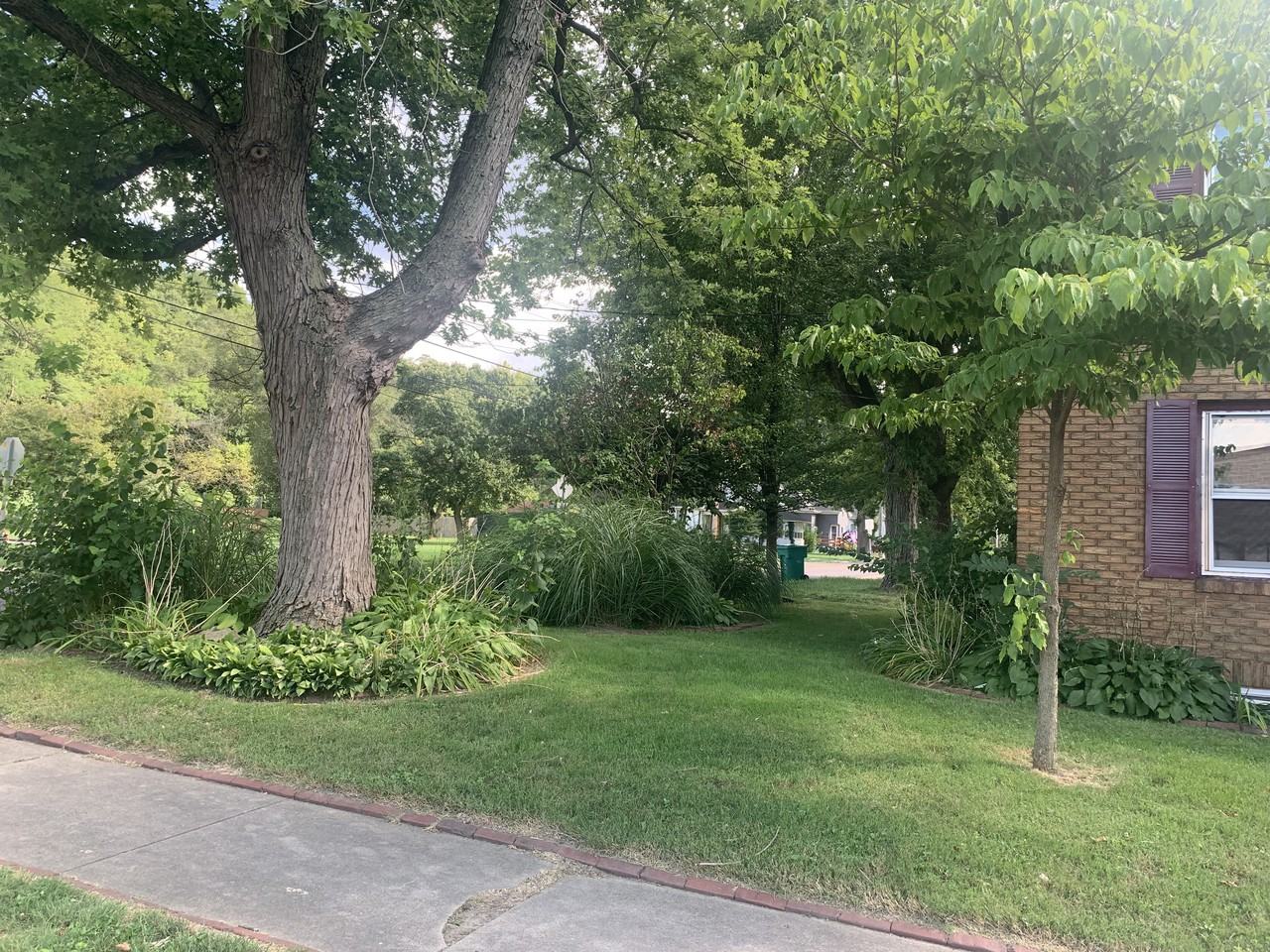 262 Johnson Street #4 - Photo 3 of 10