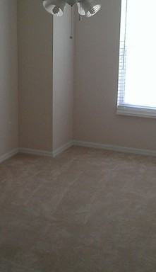 714 Gleaming Pebble Way - Photo 3 of 24