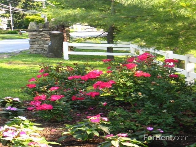 The Landing on Mohegan Lake - Photo 2 of 16