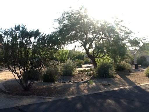 29720 N 69th Pl - Photo 2 of 15