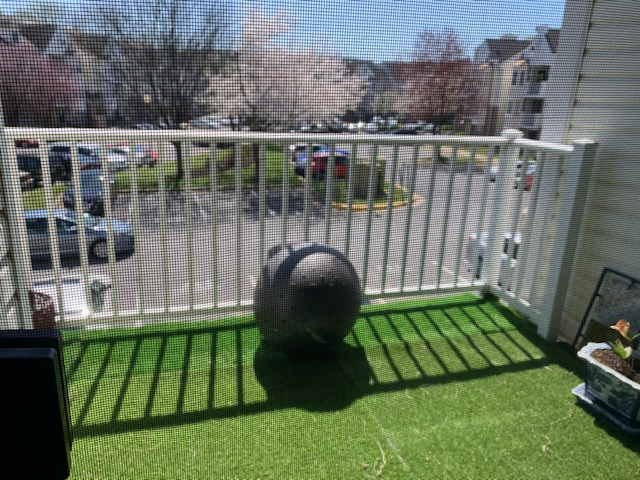 8941 Town Center Cir #203 - Photo 4 of 17