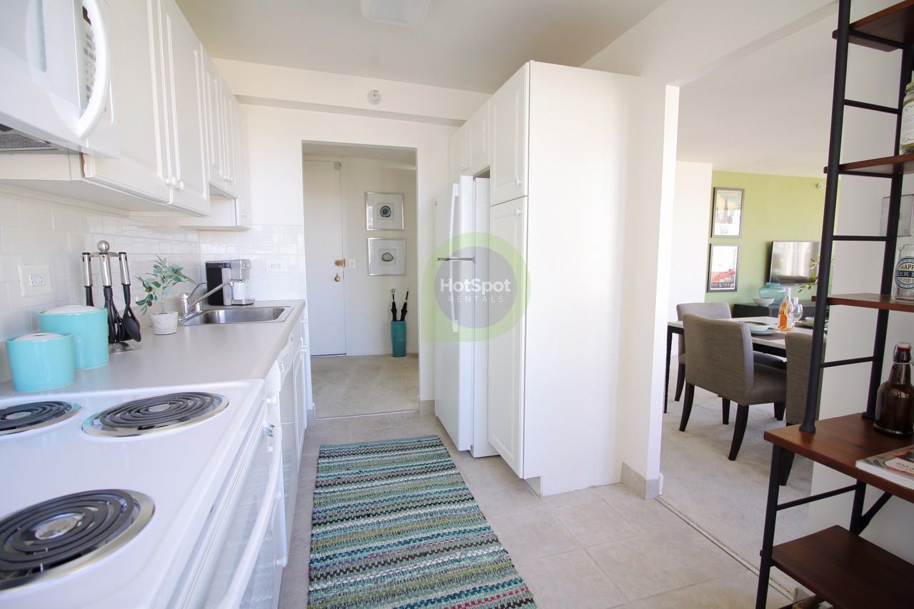 333 E Ontario St #2-2-5 - Photo 4 of 22