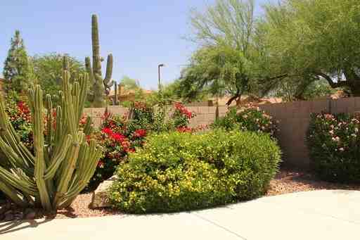 13329 N 94th Pl - Photo 2 of 24