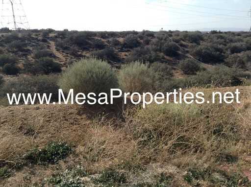 7470 Rodeo Rd - Photo 2 of 21