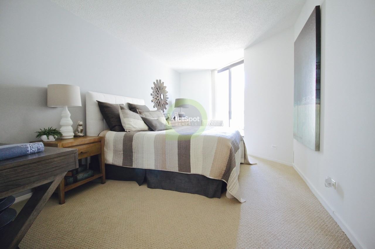 750 N Dearborn St #1-1 - Photo 5 of 12