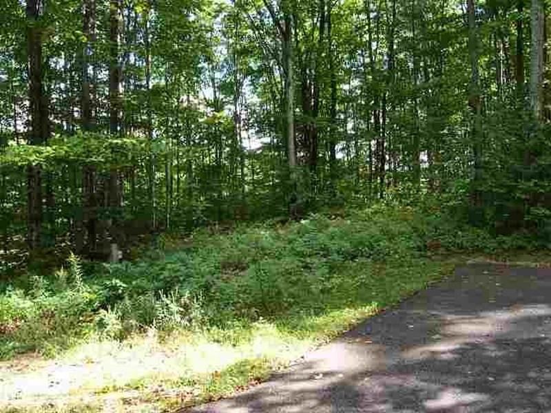 5204 Just-A-Mere Trail - Photo 2 of 20