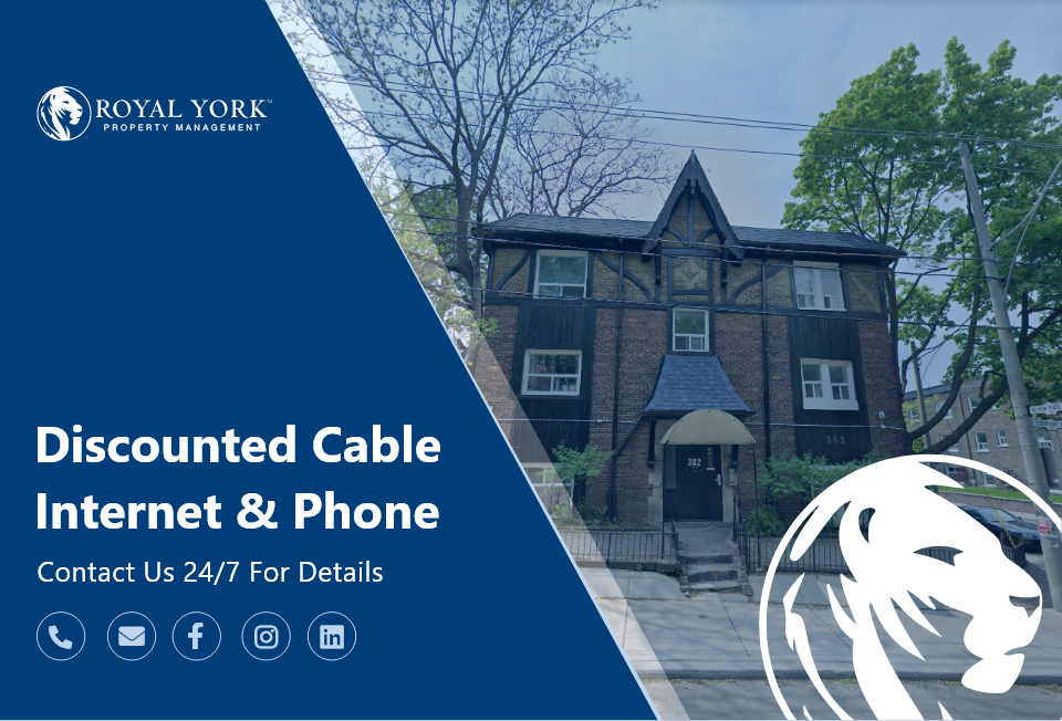 382 Dovercourt Rd #30