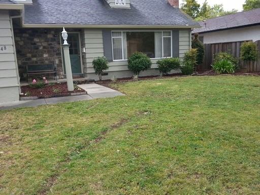 1748 Harte Dr - Photo 2 of 18