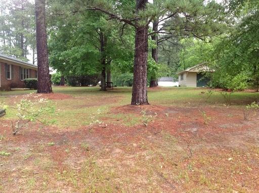 131 Holly Rd - Photo 3 of 32