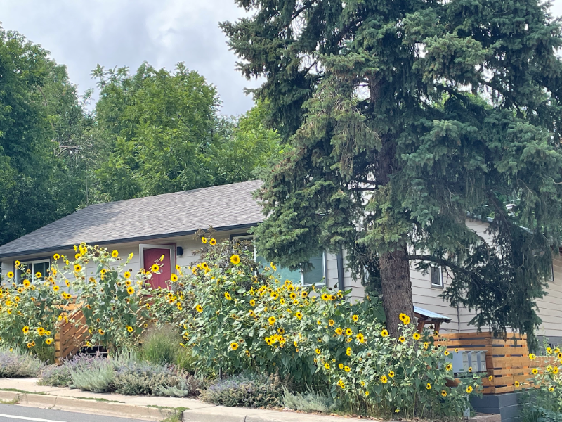 2531 9th St #B - Photo 2 of 19