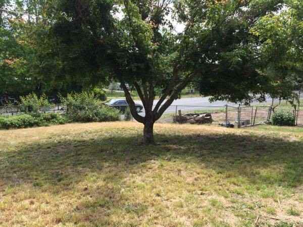 2958 New Hope Rd - Photo 3 of 7
