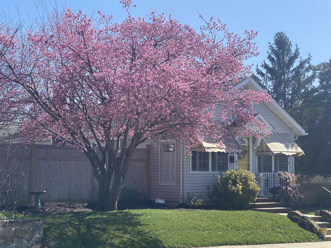 34 Navesink Ave - Photo 2 of 13