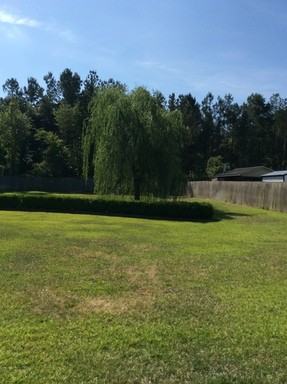 1312 Oak Ridge Plantation Rd - Photo 3 of 3