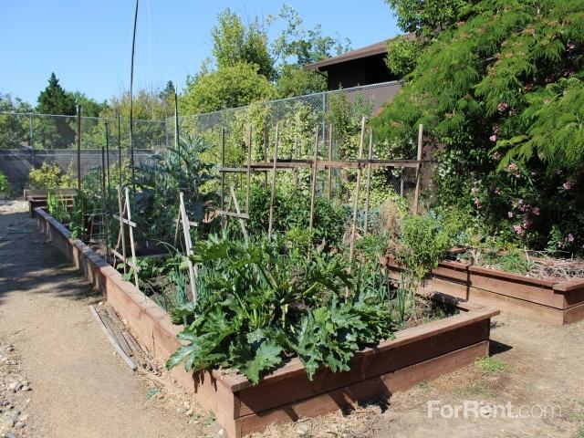 Fulton Woods Apartments - Photo 2 of 17