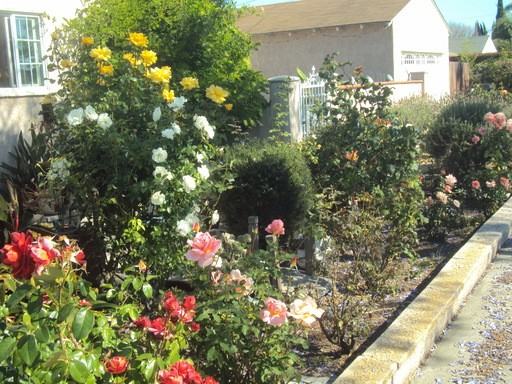 3316 W 152nd St - Photo 3 of 44