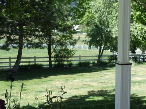 1575 Thompson Creek Rd - Photo 2 of 53