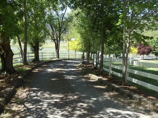 1575 Thompson Creek Rd - Photo 3 of 53