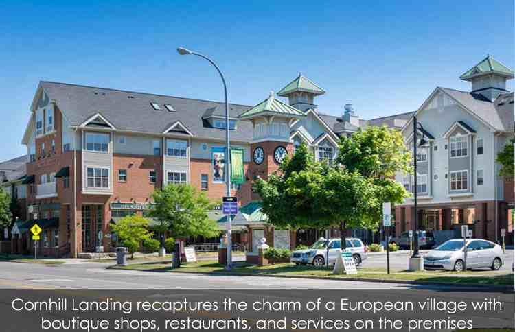 Cornhill Landing Apartments - Photo 3 of 49