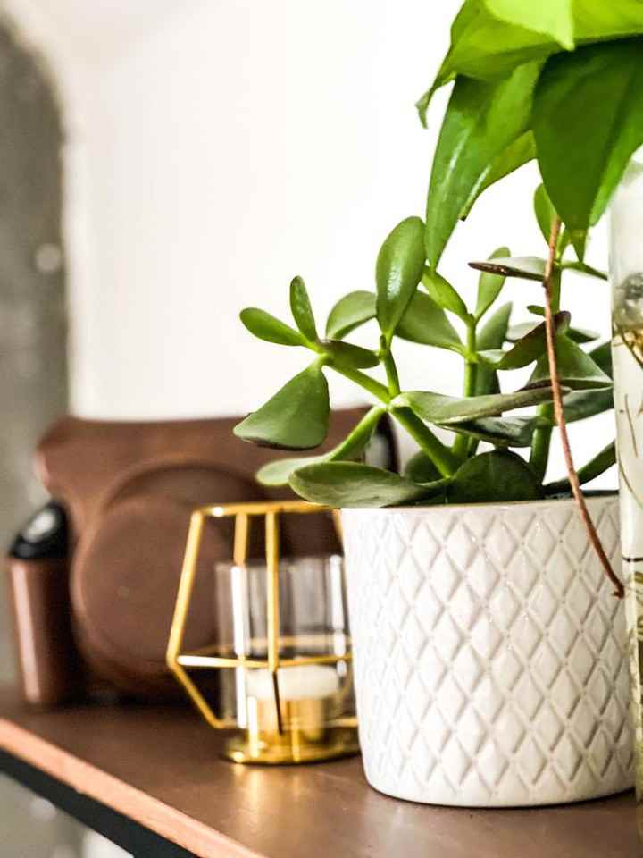 81 Bertie Street #c - Photo 5 of 20