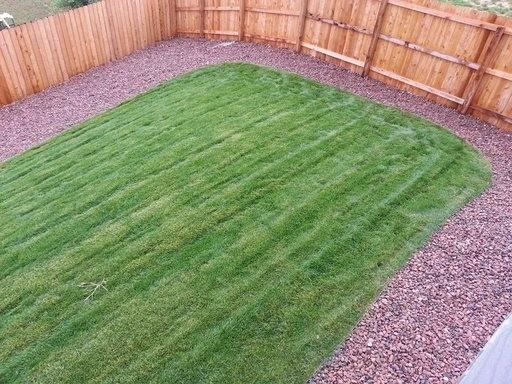 1315 Livingston Ave - Photo 3 of 13