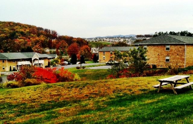 709 Hillmont Cir, Harrisonburg, VA 22801 1 Bedroom Apartment for 650