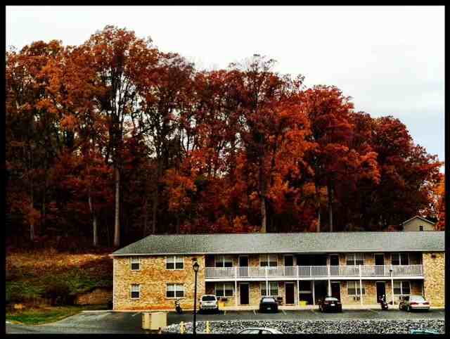 709 Hillmont Cir, Harrisonburg, VA 22801 1 Bedroom Apartment for 650