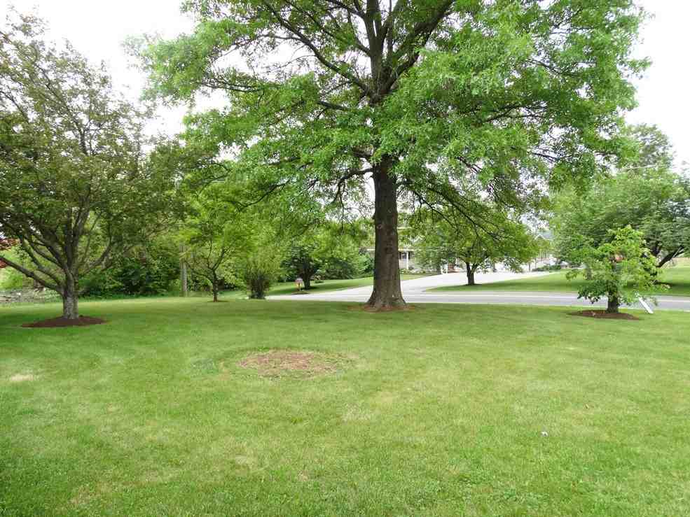 236 Deep Run Rd - Photo 2 of 15