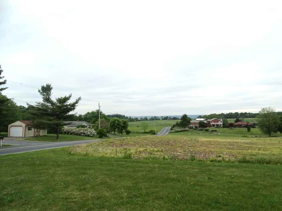 236 Deep Run Rd - Photo 3 of 15