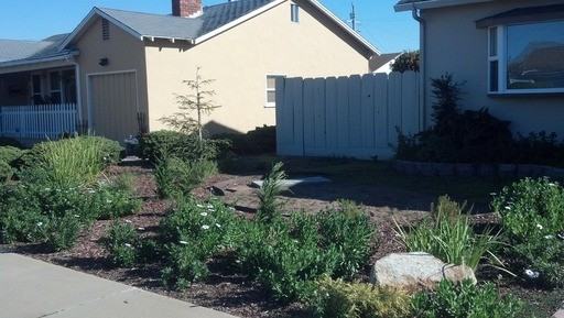 206 Dundee Dr - Photo 2 of 2
