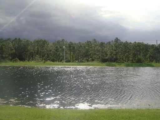 2428 Holly Pine Cir - Photo 2 of 3