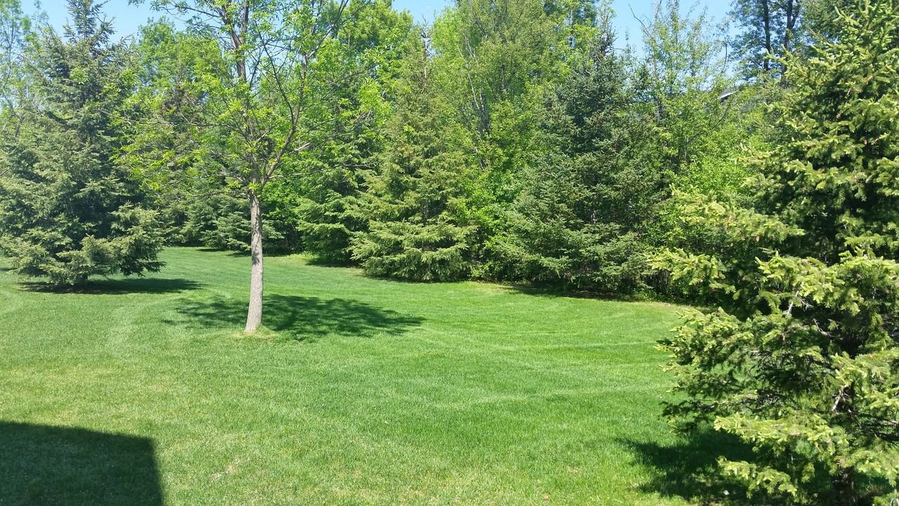 10714 Unity Ln N - Photo 3 of 10