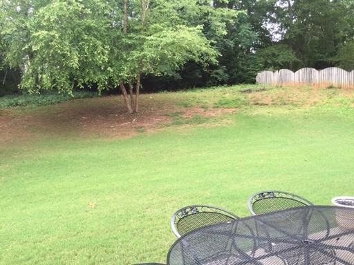 125 Planterra Way - Photo 3 of 12