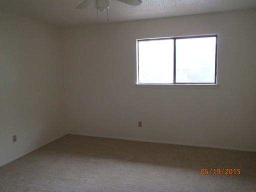 3706 Rocky Hollow Trail - Photo 3 of 5