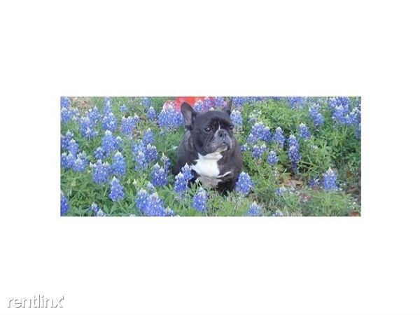 Gannon Ln - Photo 2 of 6