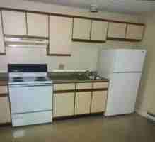 featured image of Spring Cir #303