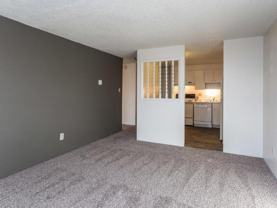 919 South Peoria Street - Photo 1 of 1