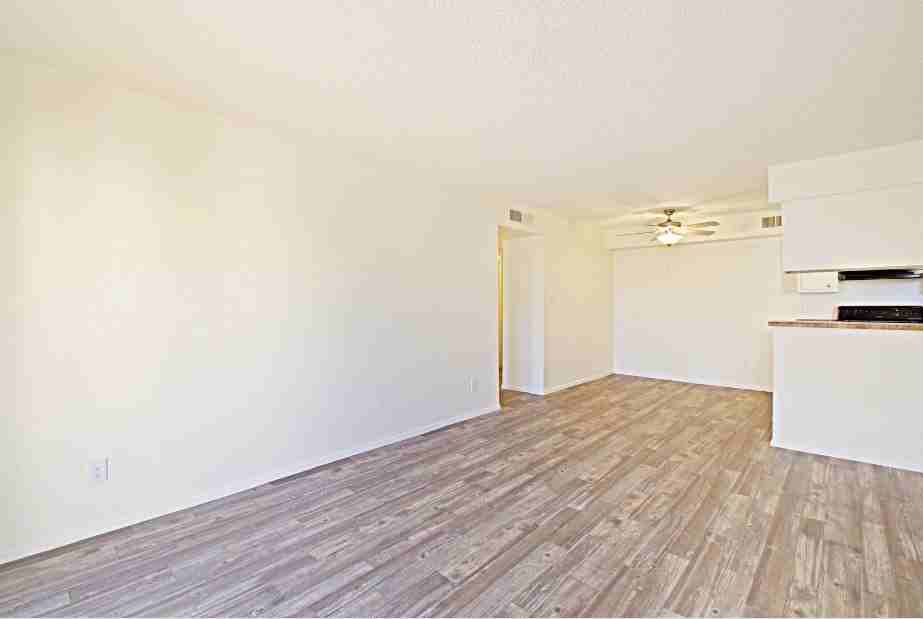 Paloma Village - Photo 2 of 9