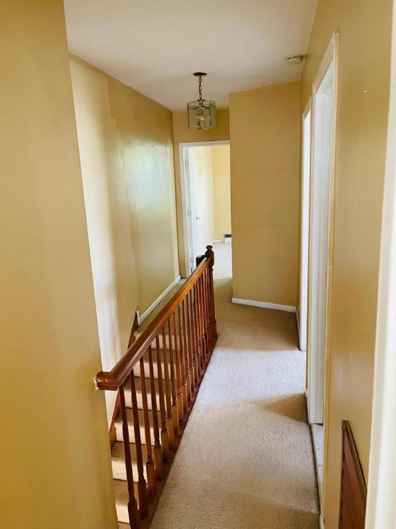 7550 Verree Rd - Photo 3 of 12