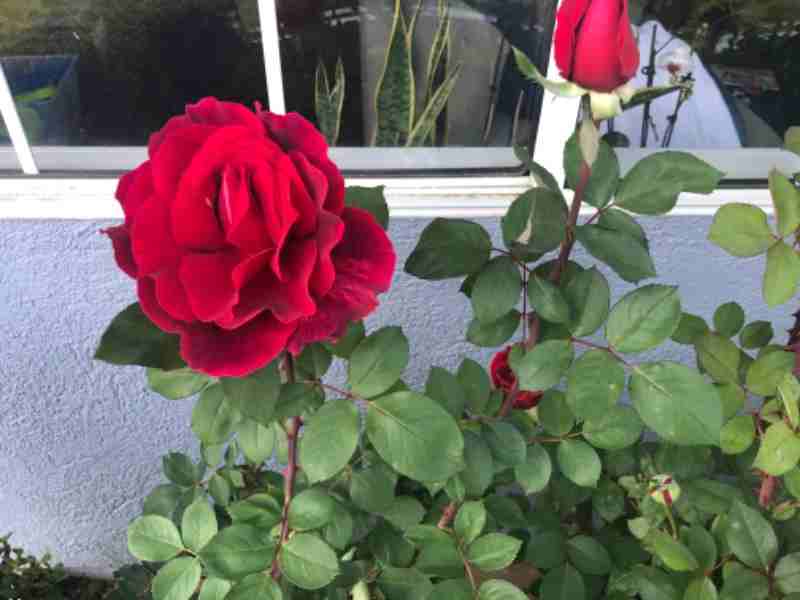 23330 Victory Blvd - Photo 7 of 26